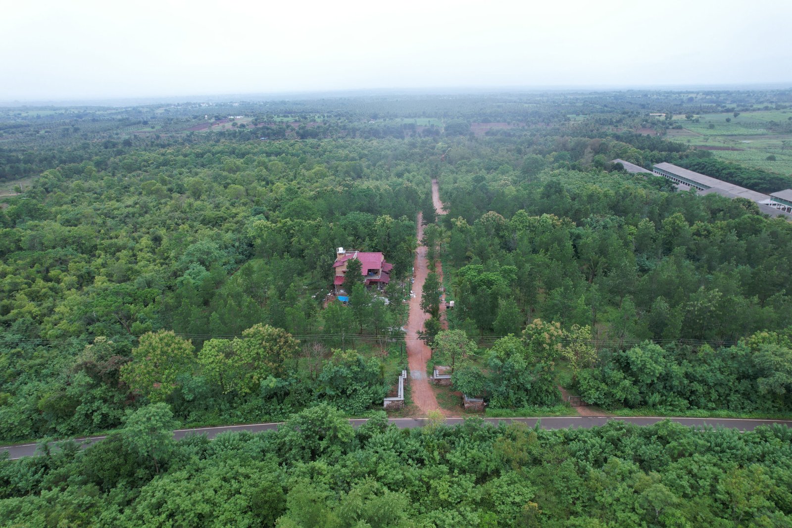 DJI_0908