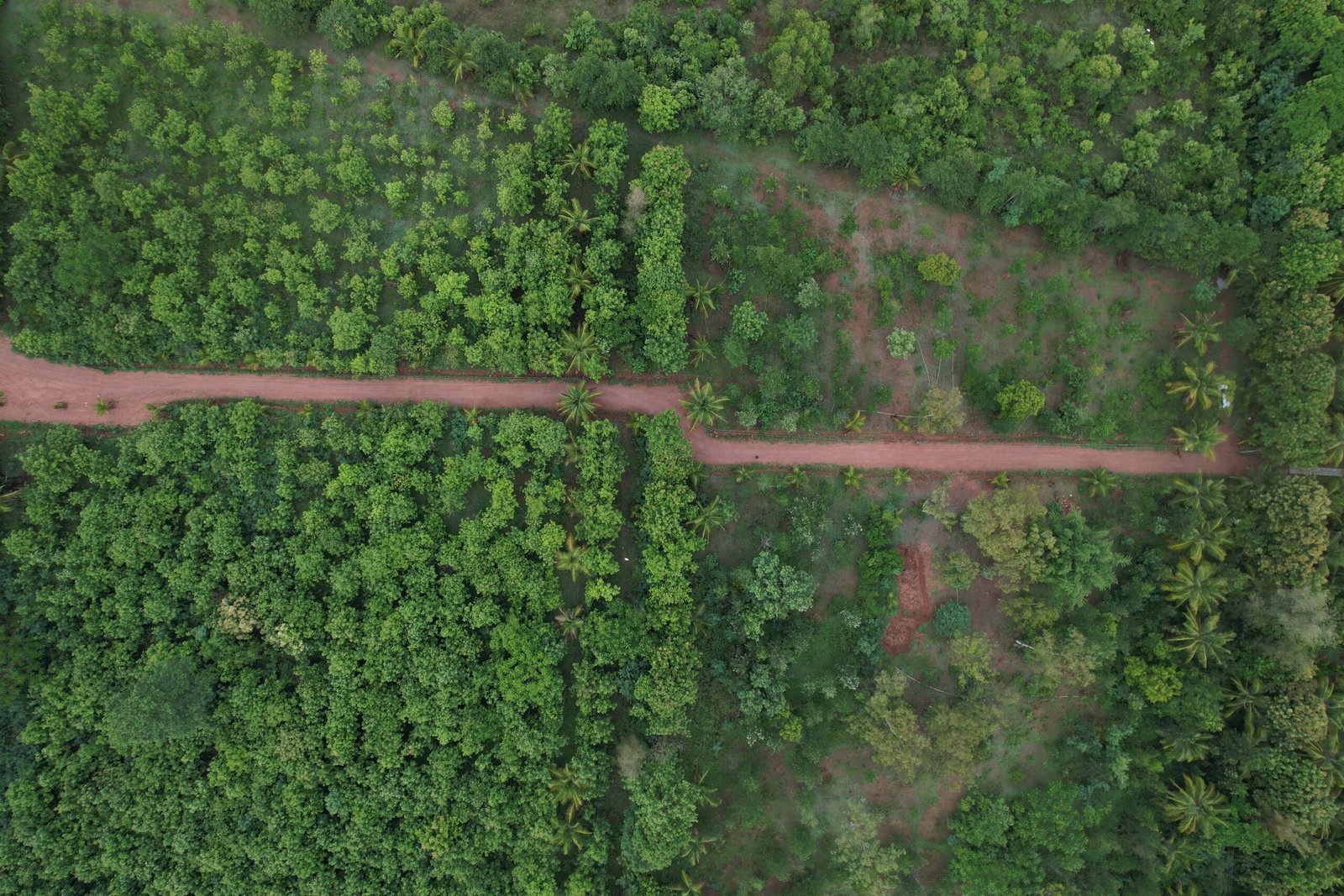 DJI_0924